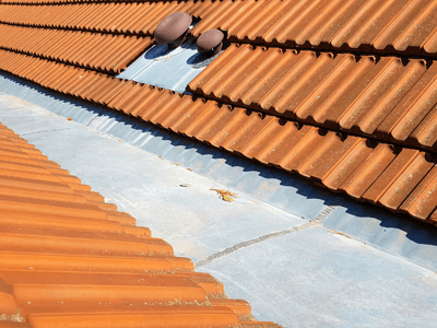About Leaking Skylight Repair Pros Lohman, MO